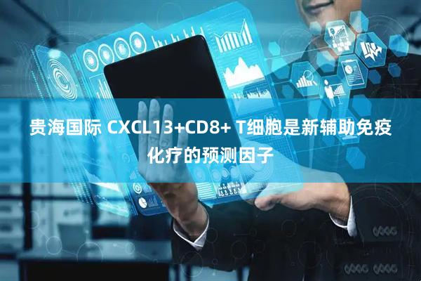 贵海国际 CXCL13+CD8+ T细胞是新辅助免疫化疗的预测因子