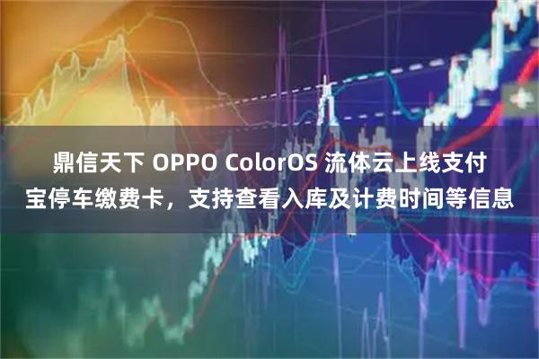 鼎信天下 OPPO ColorOS 流体云上线支付宝停车缴费卡，支持查看入库及计费时间等信息
